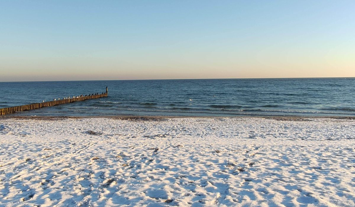 Planning a Car-Free Weekend on the Coast